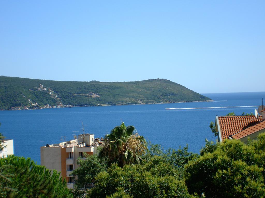 公寓 Penthouse Mimoza 赫尔采格诺维